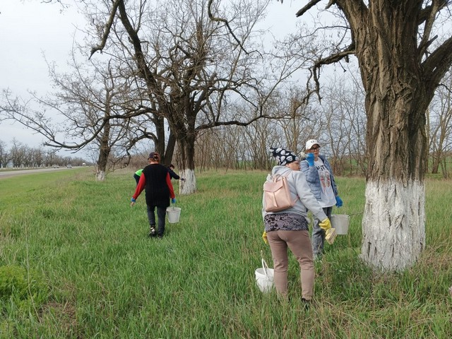 img 0204 03