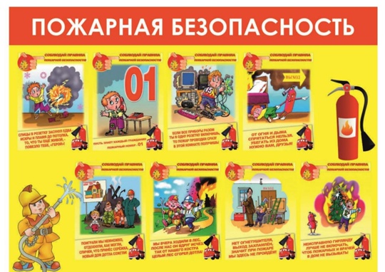 foto 2025 07 04 08 49 5